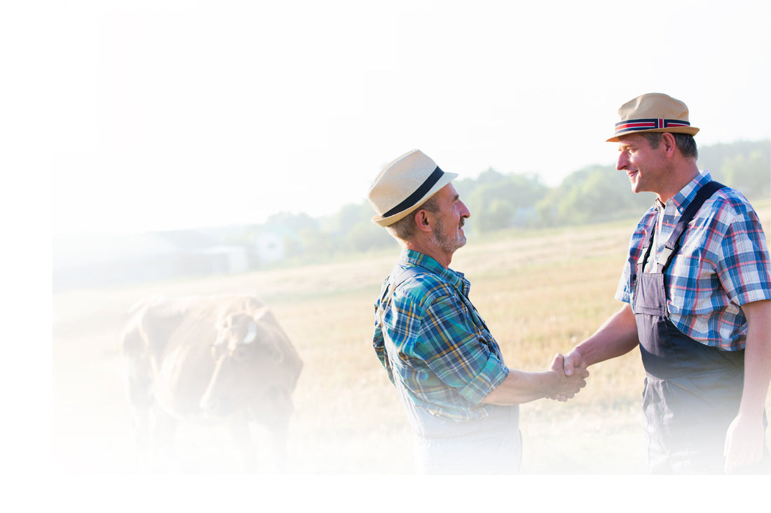 Promotion: Get yourself and your neighbors FREE Wishbone Gold caps and 10% off your next purchase