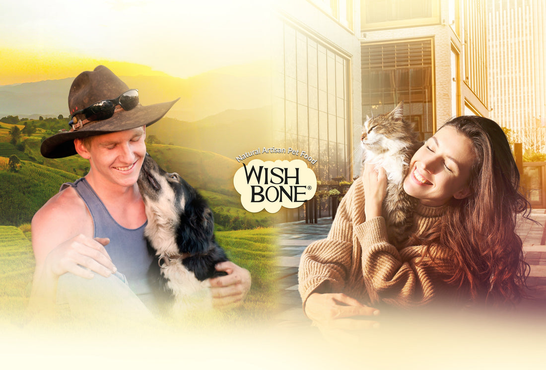 Promotion: Get a FREE Wishbone Gold Cap and a chance to win an extra bag of Wishbone Gold