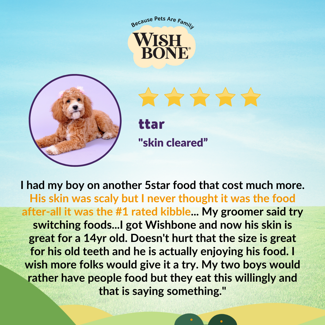 Wishbone Ocean for Dogs - New Zealand King Salmon 1.8kg