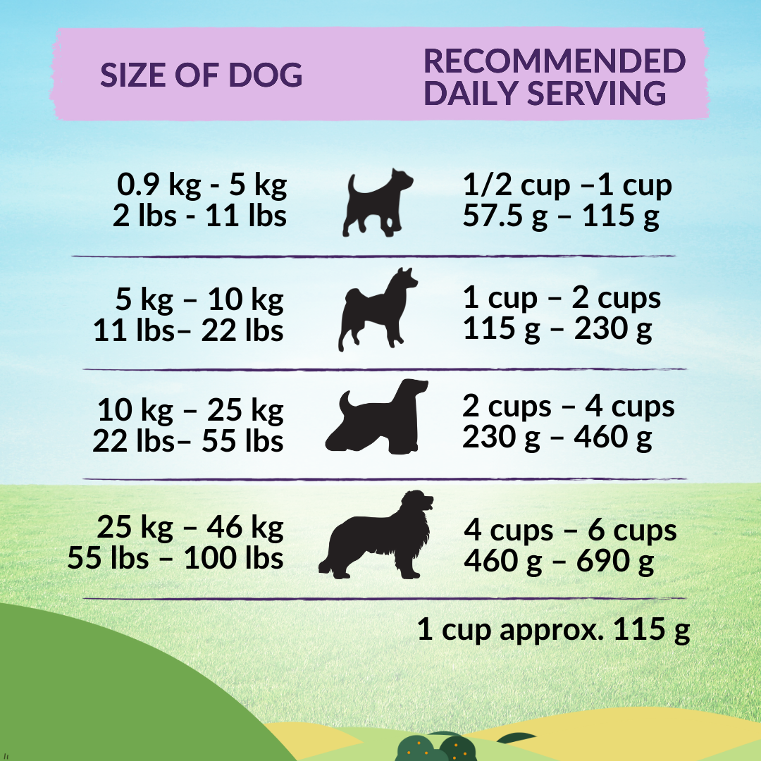 Wishbone Ocean for Dogs - New Zealand King Salmon 1.8kg