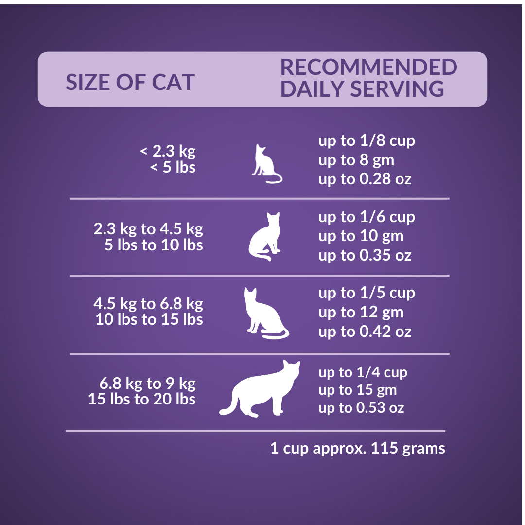 Wishbone Mix & Munch Freeze-Dried Raw Topper Beef & Ocean Fish for Cats 350g