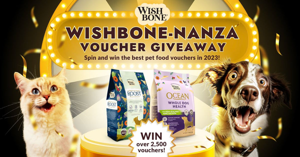 News Wishbone Singapore