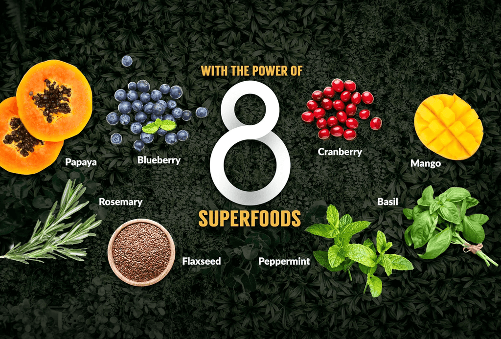 What are the 8 Superfoods and why do dogs need them