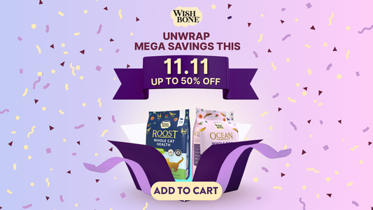 Celebrate 11.11 with Up to 50% Off!