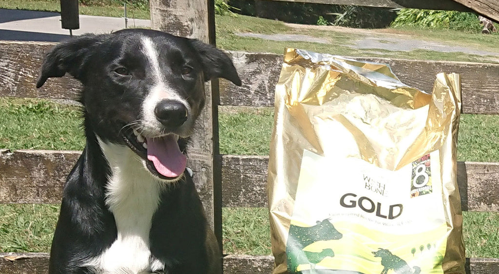 Wishbone Stories: A glimpse into farmers and their working dogs’ lives