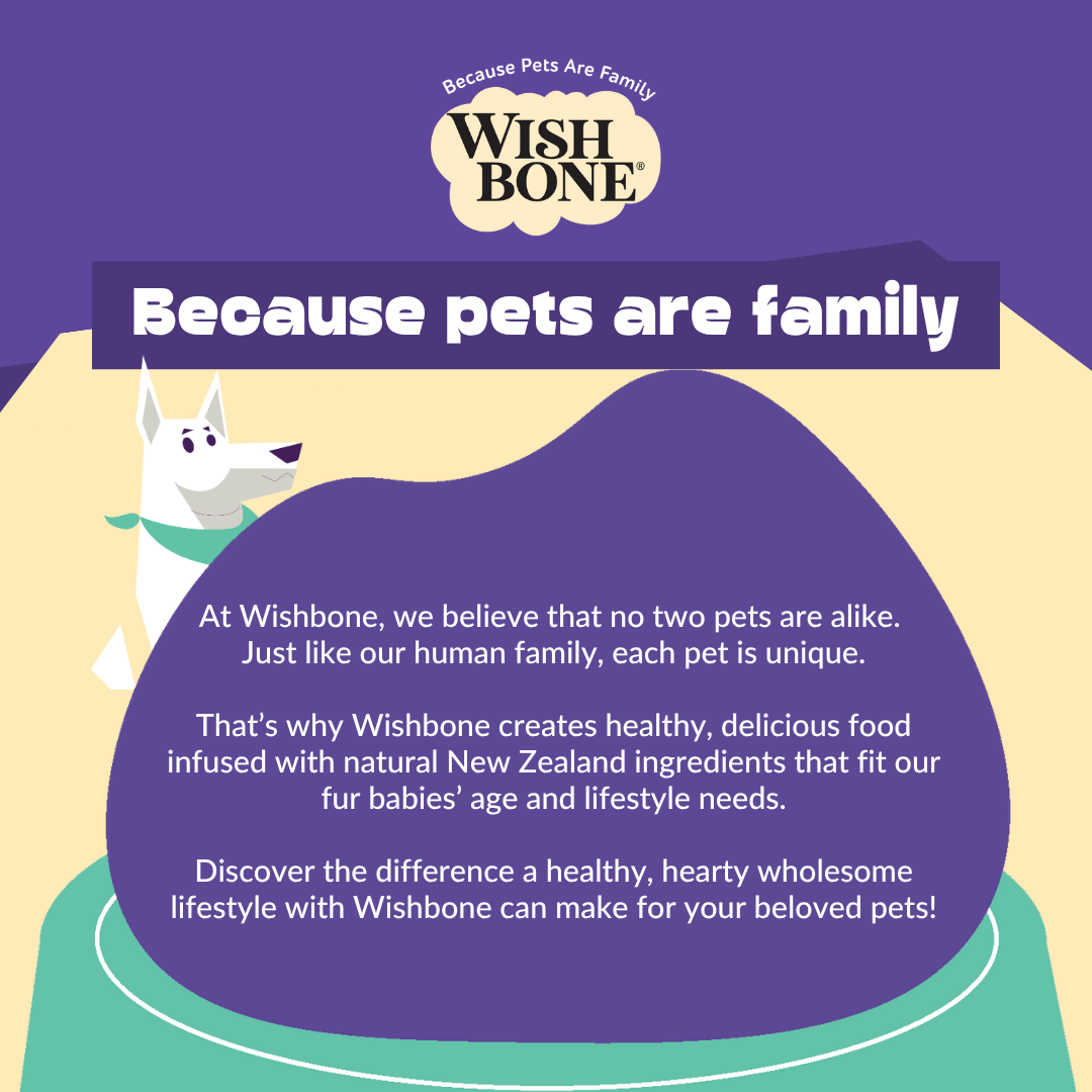 Wishbone Air-Dried Beef & Lamb 454g