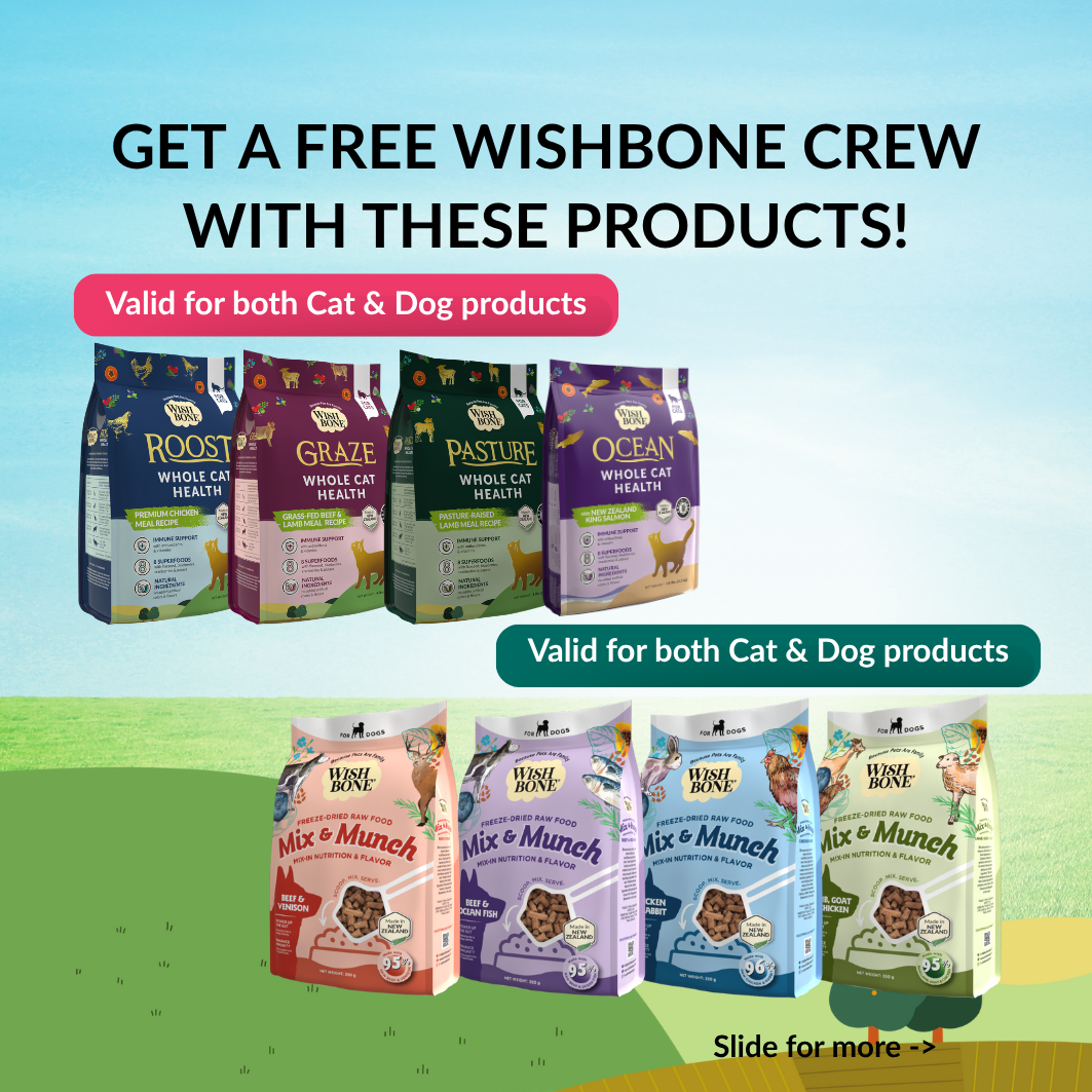 [NOT FOR SALE] FREE GIFT Wishbone Crew