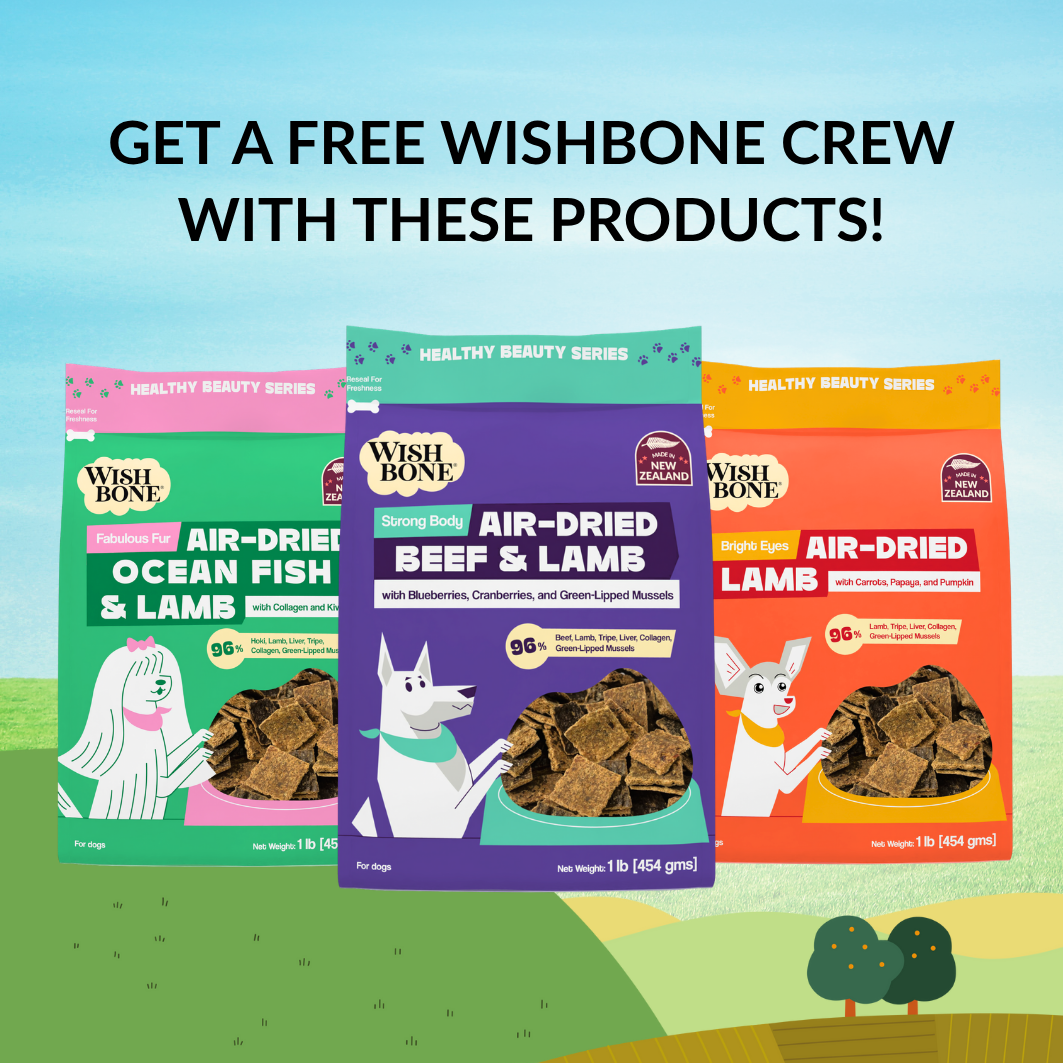 [NOT FOR SALE] FREE GIFT Wishbone Crew