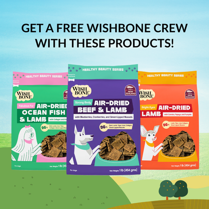 [NOT FOR SALE] FREE GIFT Wishbone Crew