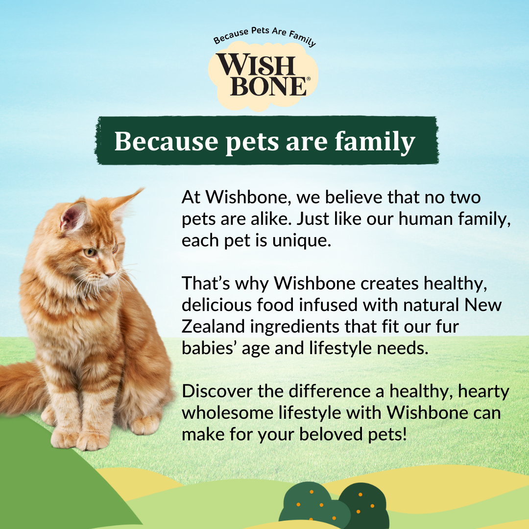 Wishbone Pasture for Cats - New Zealand Lamb 1.8kg