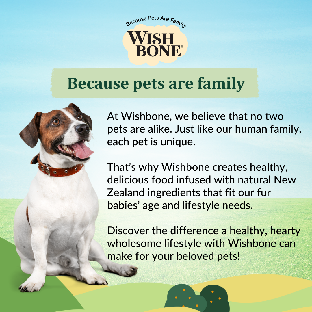 Wishbone Pasture for Dogs - New Zealand Lamb - 1.8kg