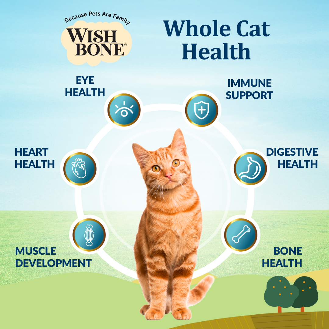 [Cat Trial Pack] Wishbone Graze New Zealand Beef and Lamb Dry Cat Food