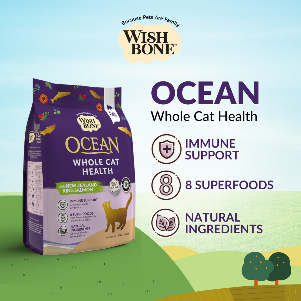 Wishbone Ocean New Zealand King Salmon, Gluten Free, Grain Free Dry Cat Food for Overall Pet Health