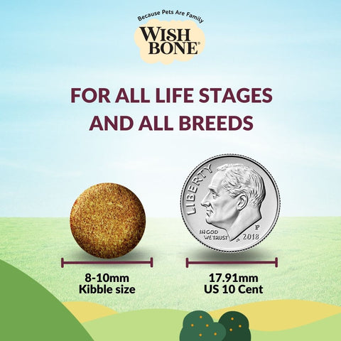 [Trial Pack] Wishbone Graze New Zealand Beef and Lamb, Gluten Free, Grain Free Dry Cat Food for Overall Pet Health