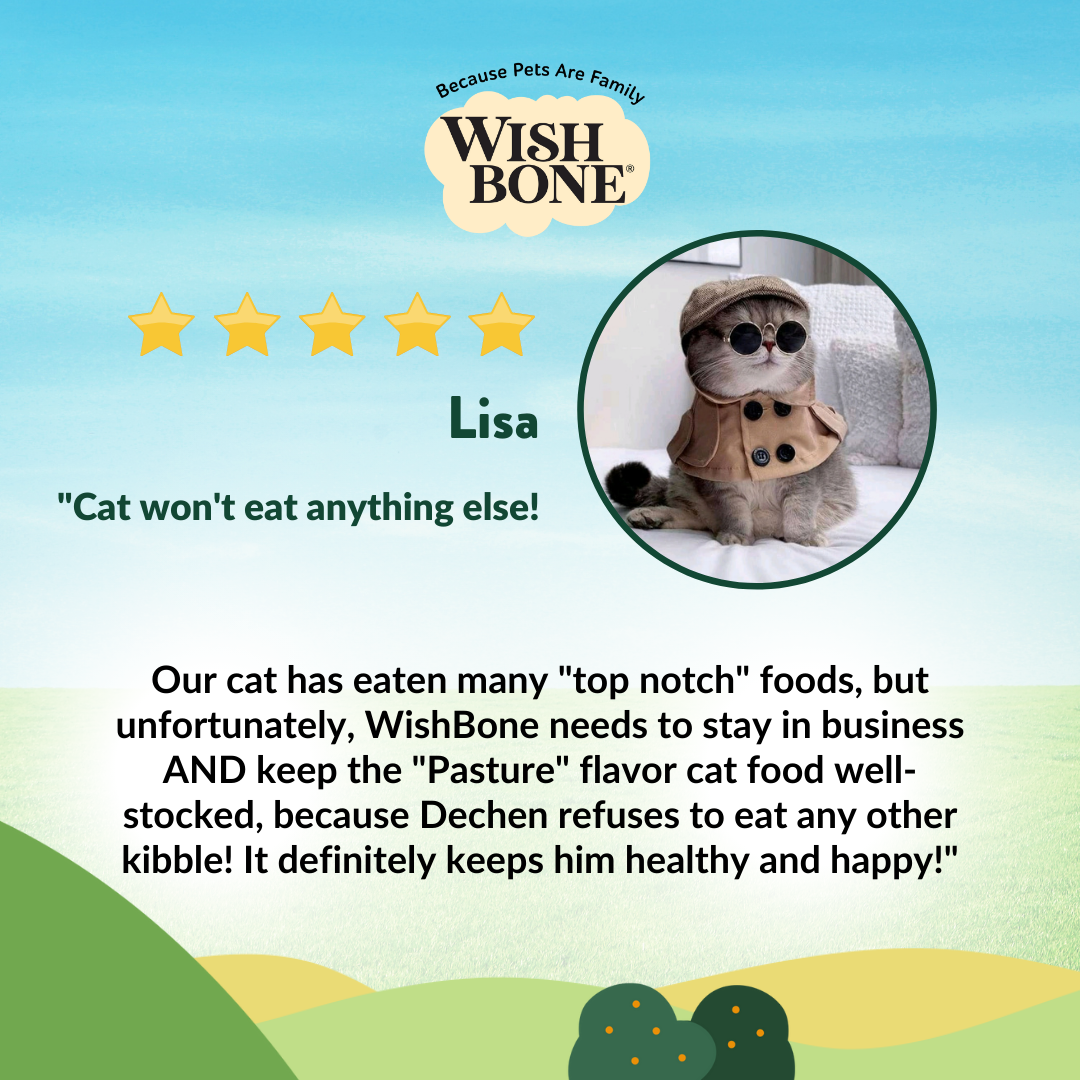 [Cat Trial Pack] Wishbone Pasture New Zealand Lamb Dry Cat Food