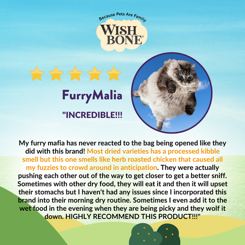 [Trial Pack] Wishbone Ocean New Zealand King Salmon, Gluten Free, Grain Free Dry Cat Food for Overall Pet Health