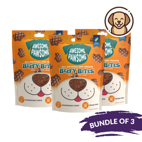 Gluten free deals dry cat food