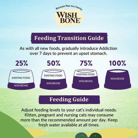 Wishbone Ocean New Zealand King Salmon, Gluten Free, Grain Free Dry Cat Food for Overall Pet Health