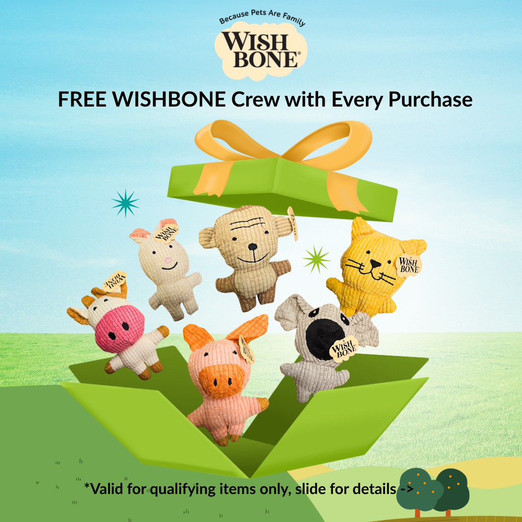 [NOT FOR SALE] FREE GIFT Wishbone Crew