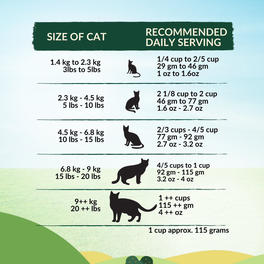 [Cat Trial Pack] Wishbone Pasture New Zealand Lamb Dry Cat Food