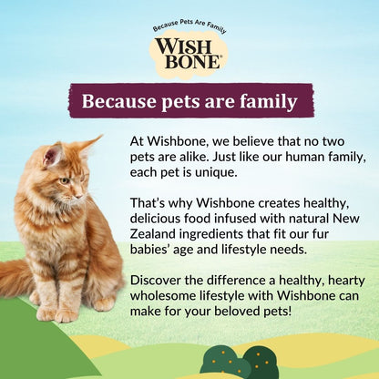 [Cat Trial Pack] Wishbone Graze New Zealand Beef and Lamb Dry Cat Food