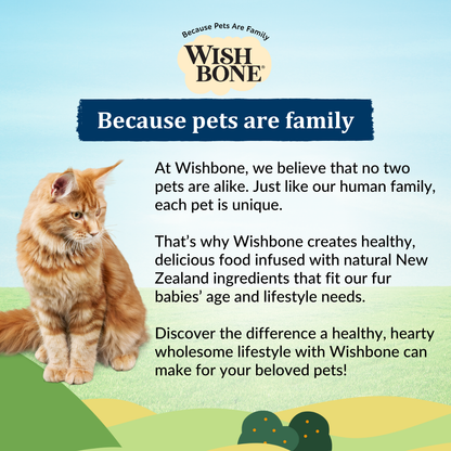 [Cat Trial Pack] Wishbone Roost New Zealand Chicken Dry Cat Food