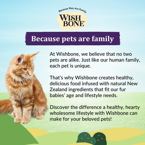 [Trial Pack] Wishbone Ocean New Zealand King Salmon, Gluten Free, Grain Free Dry Cat Food for Overall Pet Health