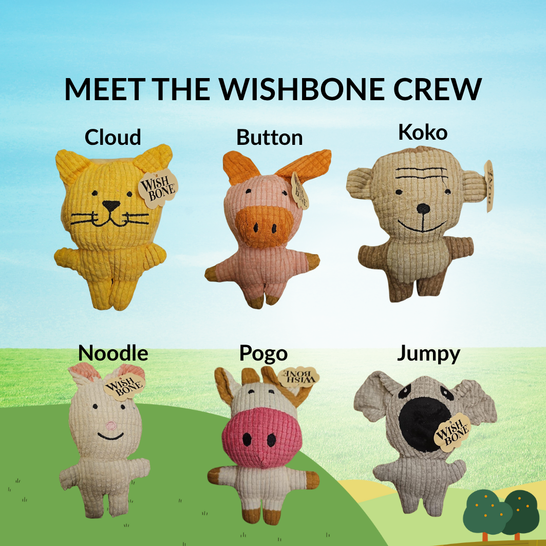 [NOT FOR SALE] FREE GIFT Wishbone Crew