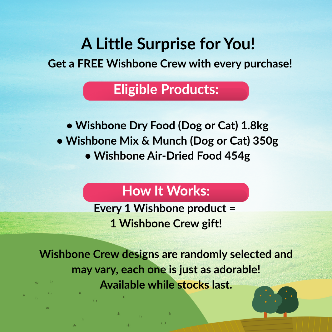 [NOT FOR SALE] FREE GIFT Wishbone Crew