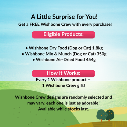 [NOT FOR SALE] FREE GIFT Wishbone Crew