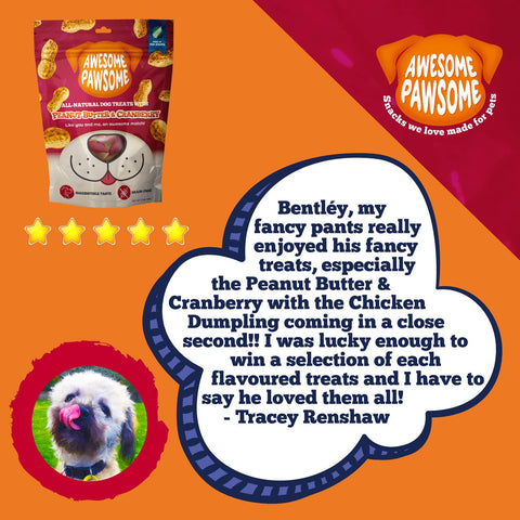 Awesome Pawsome All Natural Dog Treats Peanut Butter and Cranberry