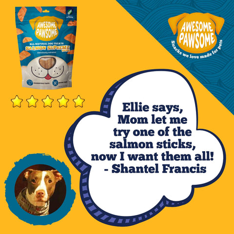 Awesome Pawsome All Natural Dog Treats Salmon Supreme