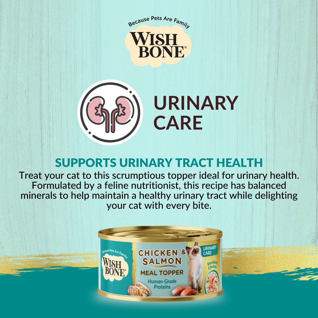 Wishbone Chicken & Salmon - Cat Urinary Care Topper in Cans 85g