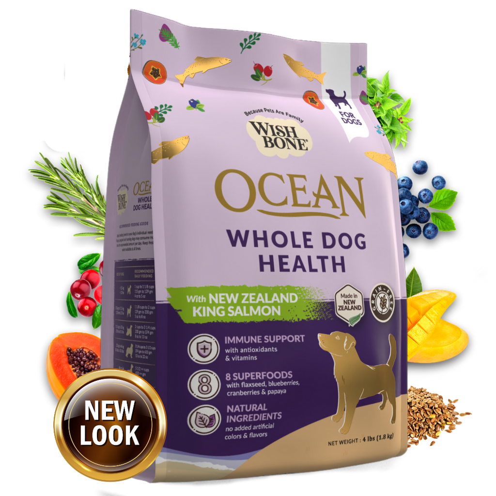 Wishbone Ocean King Salmon Recipe for Dogs Wishbone Singapore