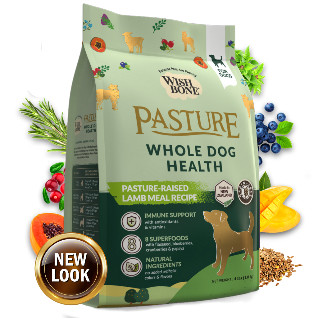 Wishbone Pasture Lamb Recipe for Dogs Wishbone Singapore