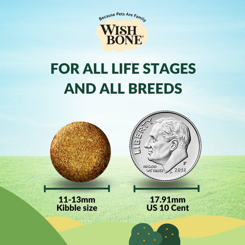 [Trial Pack] Wishbone Pasture New Zealand Lamb, Gluten Free, Grain Free Dry Dog Food for Overall Pet Health