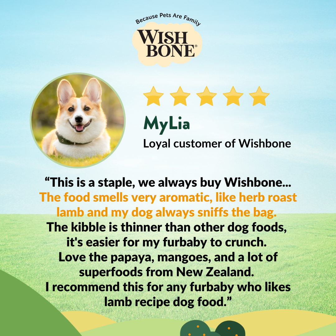 [Dog Trial Pack] Wishbone Pasture New Zealand Lamb Dry Dog Food