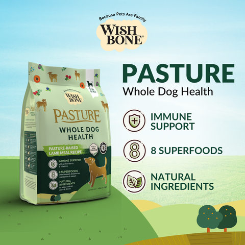 Wishbone Dry Dog Food - Trial Pack Bundle of 4 (60g x 4)