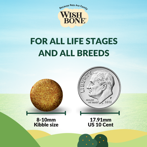 Wishbone Pasture New Zealand Lamb, Gluten Free, Grain Free Dry Cat Food for Overall Pet Health