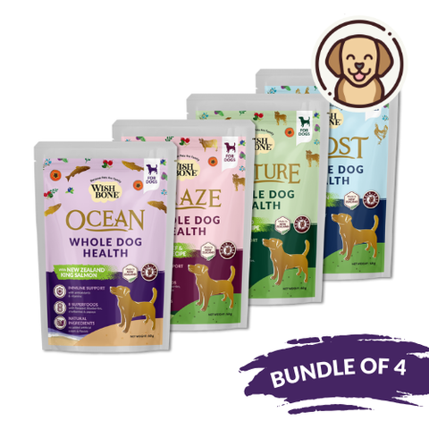 [Dog Trial Pack Bundle of 4] Wishbone Dry Dog Food - Trial Pack 60g