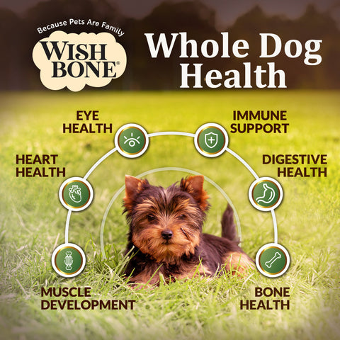 [Trial Pack] Wishbone Pasture New Zealand Lamb, Gluten Free, Grain Free Dry Dog Food for Overall Pet Health