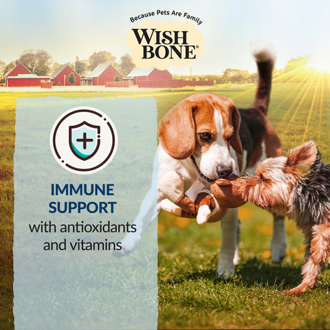 Wishbone Dog Dry Food for Overall Pet Health Bundle of 4 (All Flavors 1.8kg / $2.09 per cup)