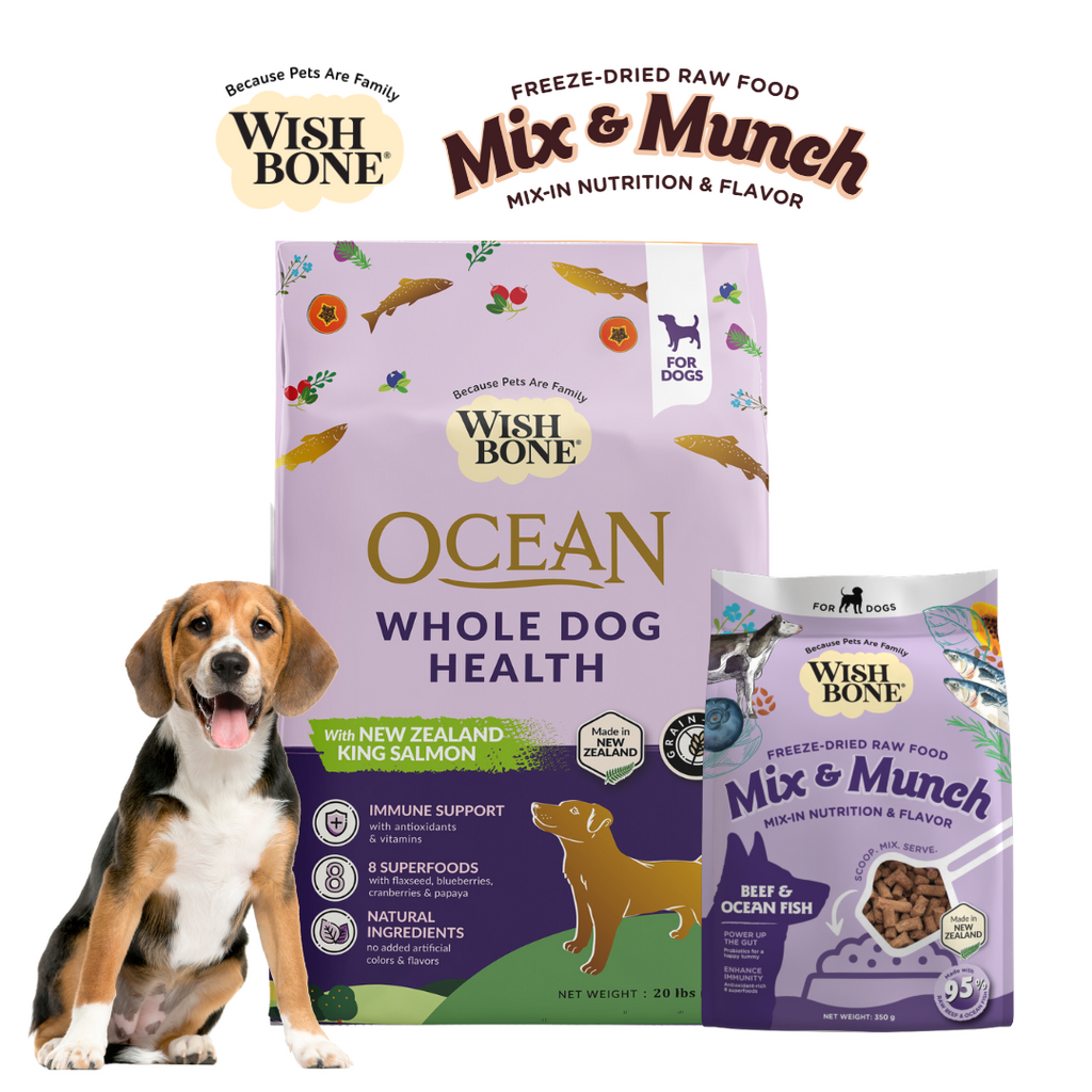 Aldi natural dog food online