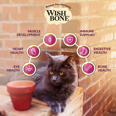 [Trial Pack] Wishbone Roost New Zealand Chicken, Gluten Free, Grain Free Dry Cat Food for Overall Pet Health 60g