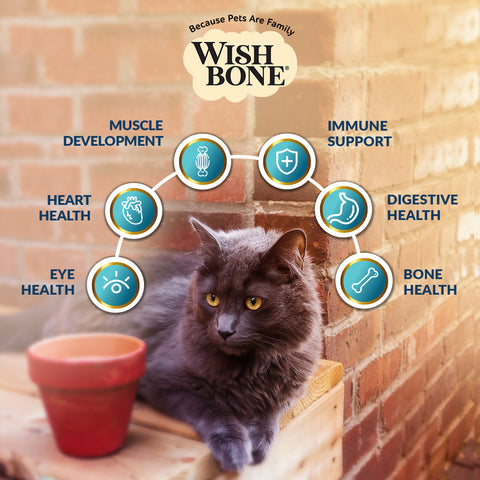 Wishbone Roost New Zealand Chicken, Gluten Free, Grain Free Dry Cat Food for Overall Pet Health