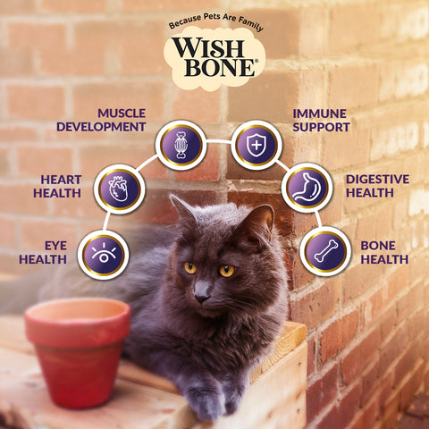 Wishbone Ocean New Zealand King Salmon, Gluten Free, Grain Free Dry Cat Food for Overall Pet Health