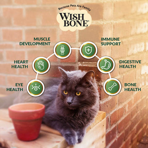 Wishbone Pasture New Zealand Lamb, Gluten Free, Grain Free Dry Cat Food for Overall Pet Health