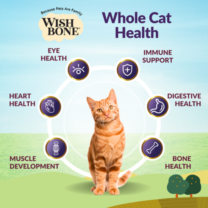 [Cat Trial Pack] Wishbone Ocean New Zealand King Salmon Dry Cat Food