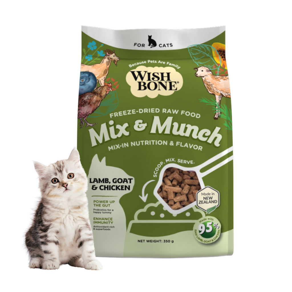 Great value cat food best sale