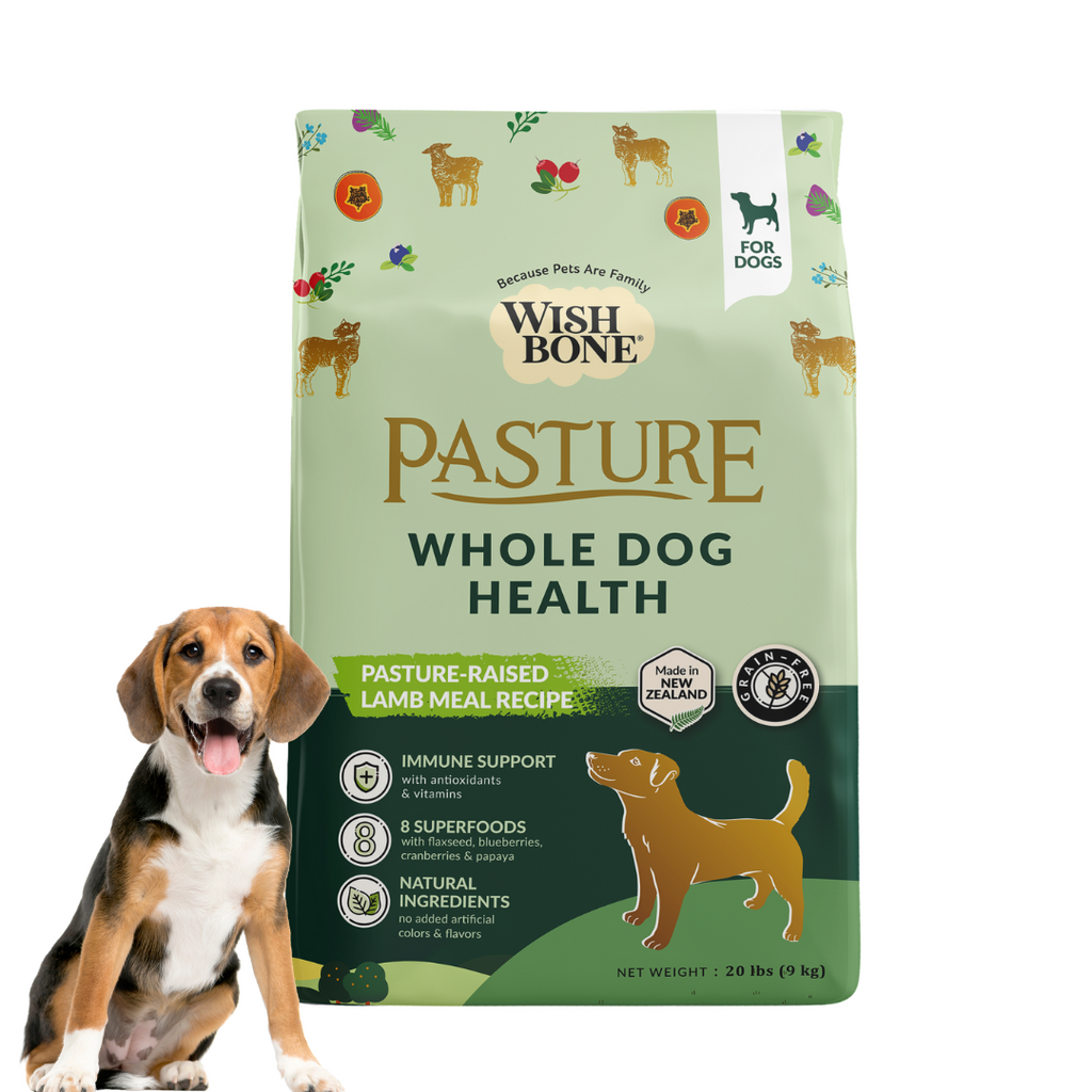 Wishbone SG Dog Food Cat Food Wishbone Singapore wishbone-sg-dog-food-cat-food-wishbone-singapore
